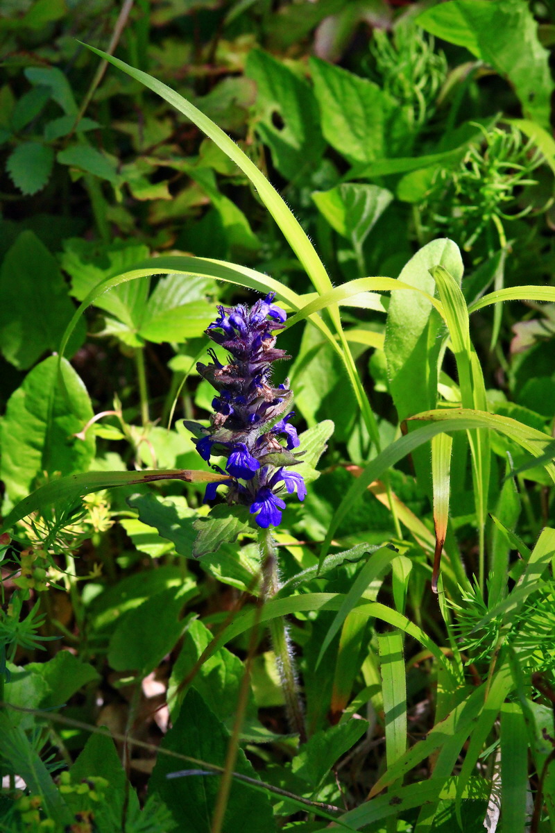 2013_06_05_00019385_Bildgr��e �ndern