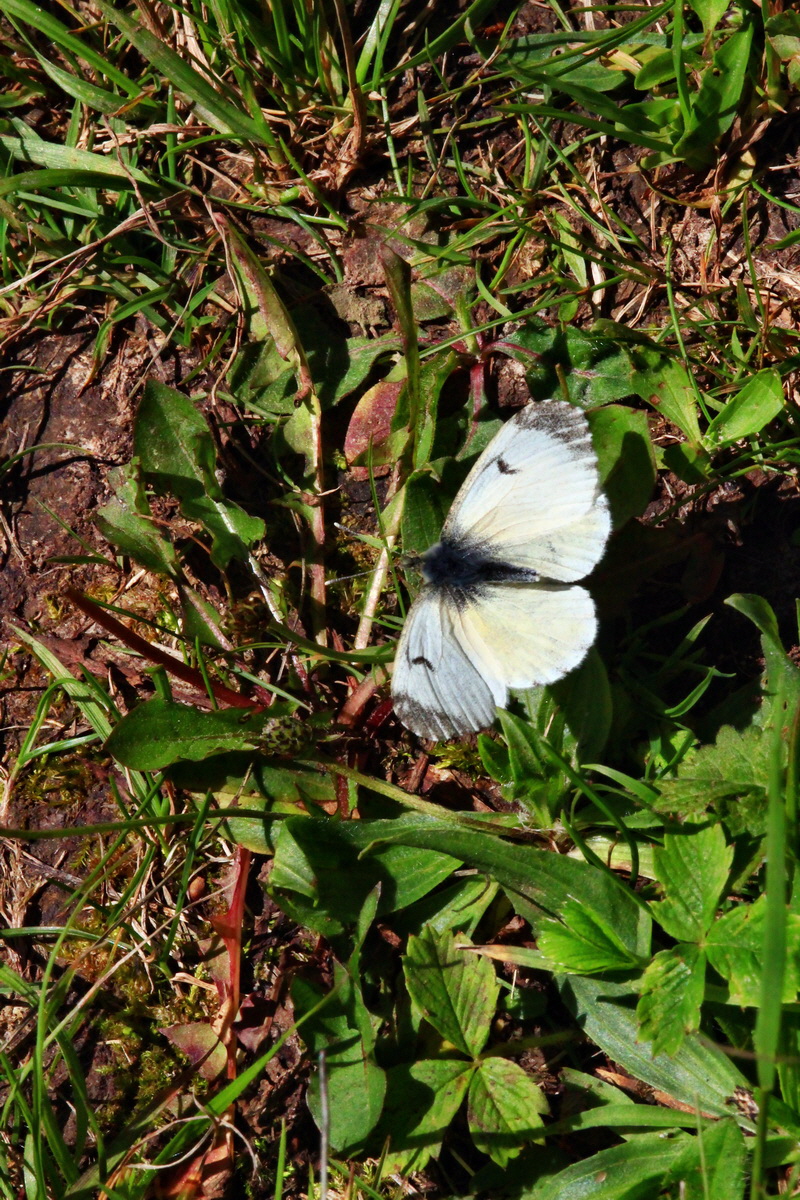 2013_06_05_00019432_Bildgr��e �ndern