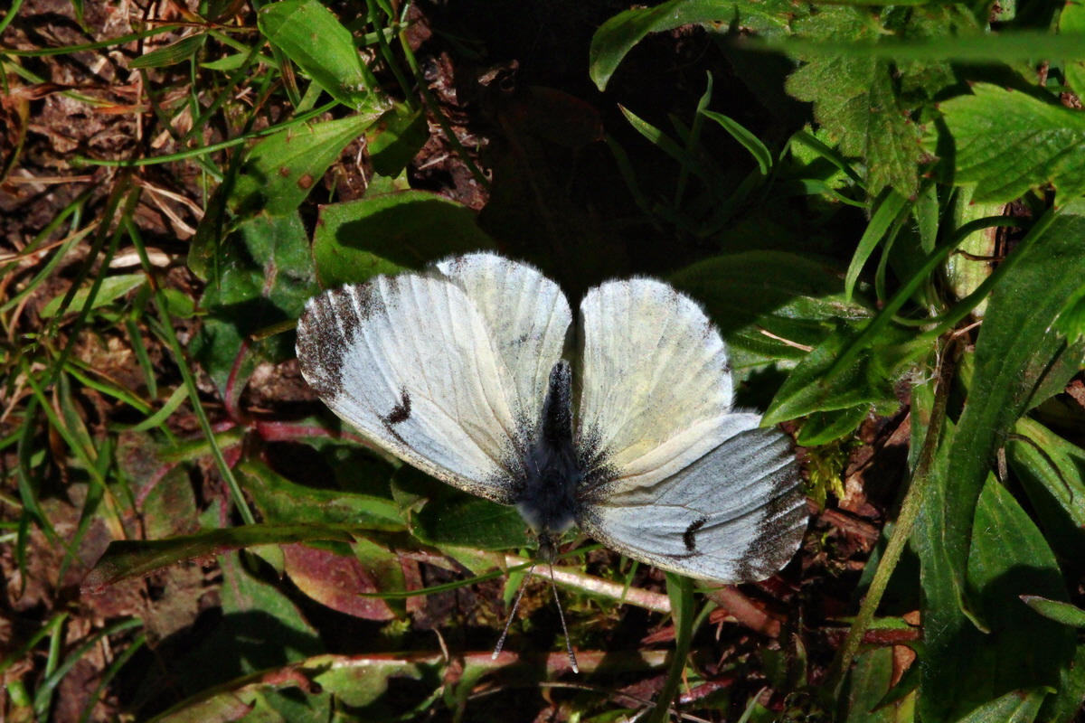 2013_06_05_00019436_Bildgr��e �ndern