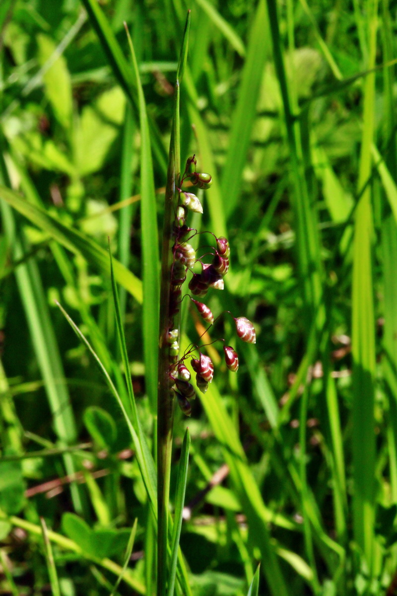 2013_06_05_00019442_Bildgr��e �ndern