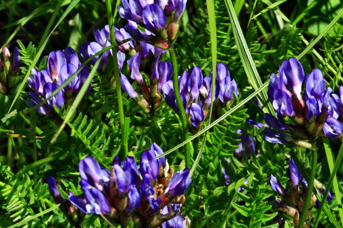 2013_06_05_00019457_Bildgr��e �ndern