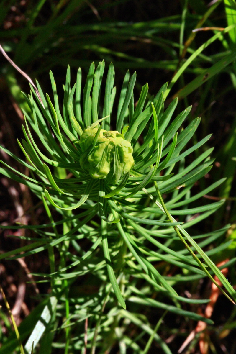 2013_06_05_00019470_Bildgr��e �ndern