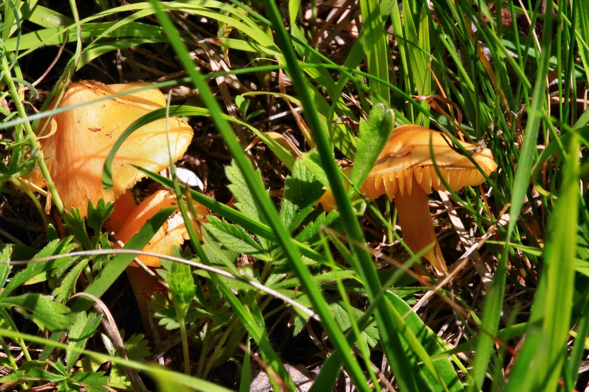 2013_06_05_00019482_Bildgr��e �ndern