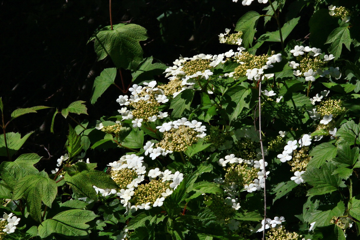 2013_06_05_00019488_Bildgr��e �ndern