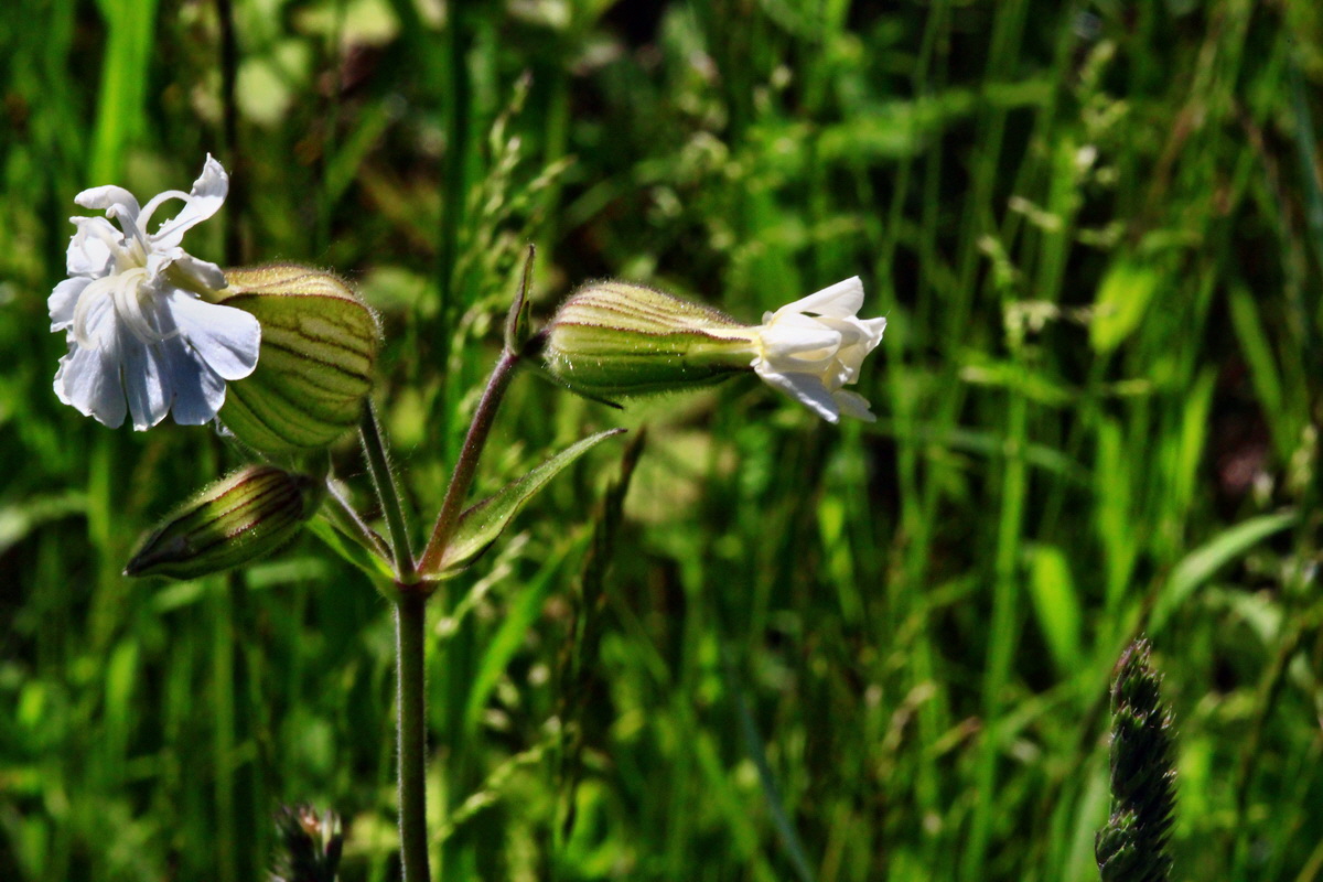 2013_06_05_00019491_Bildgr��e �ndern