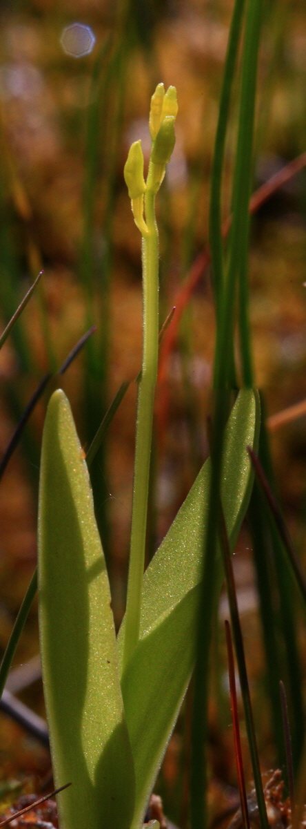 [Group 1]-2013_06_07_00019688_2013_06_07_00019690-2 images_Bildgr��e �ndern