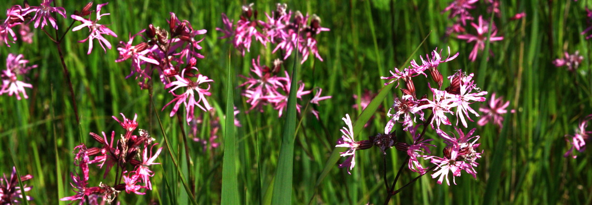 [Group 4]-2013_06_07_00020025_2013_06_07_00020029-2 images_Bildgr��e �ndern