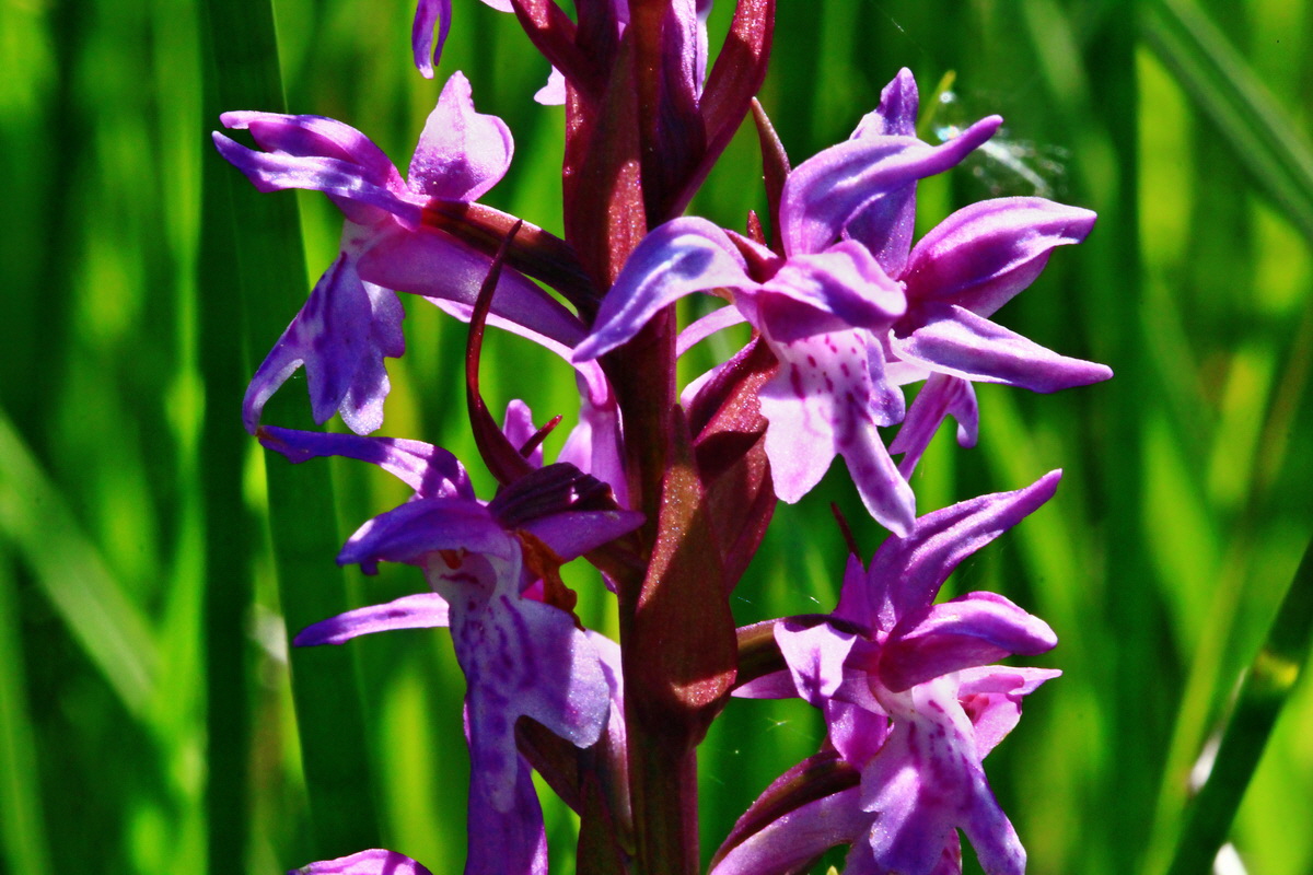 2013_06_07_00019543_Bildgr��e �ndern