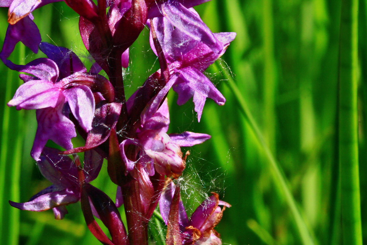 2013_06_07_00019549_Bildgr��e �ndern