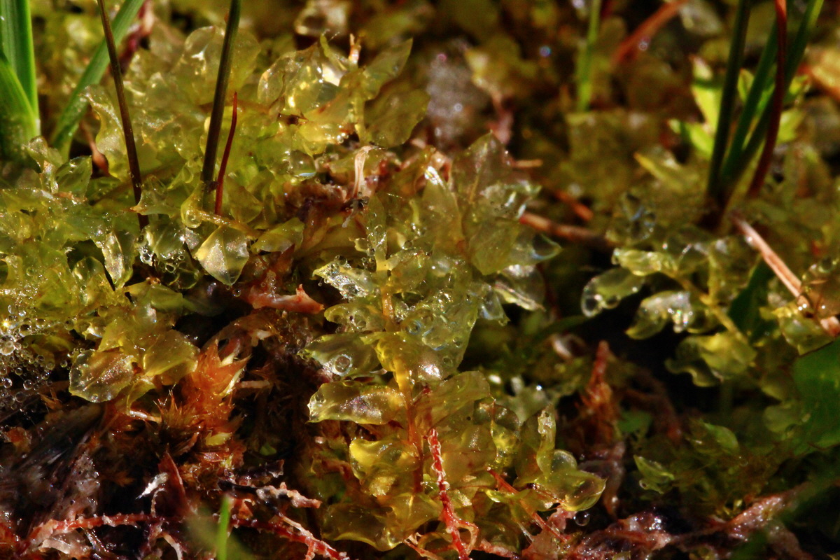 2013_06_07_00019591_Bildgr��e �ndern