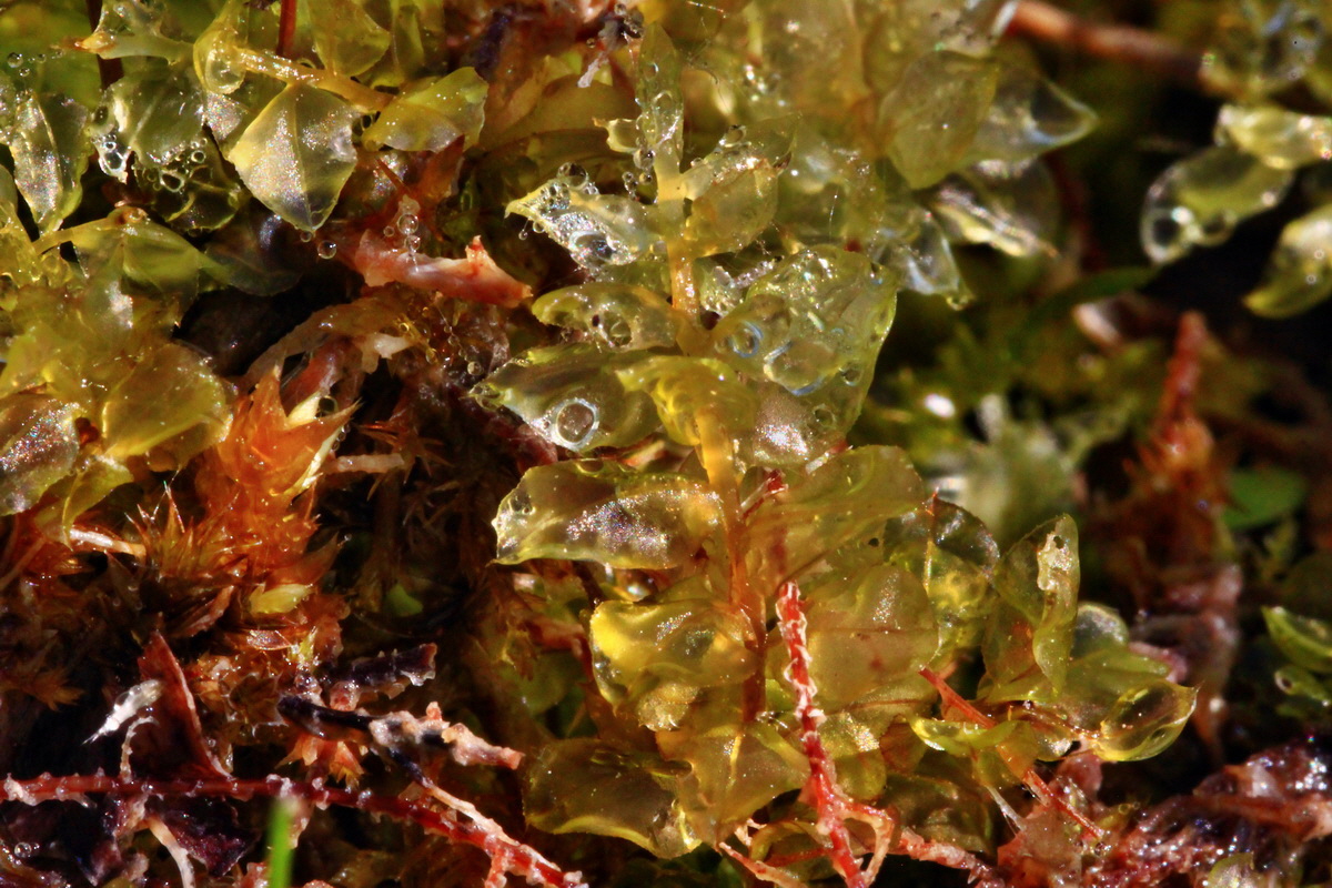 2013_06_07_00019593_Bildgr��e �ndern