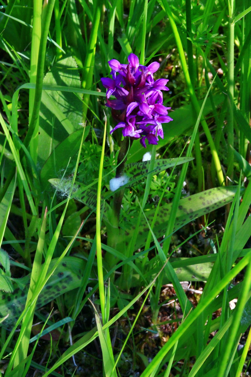 2013_06_07_00019605_Bildgr��e �ndern