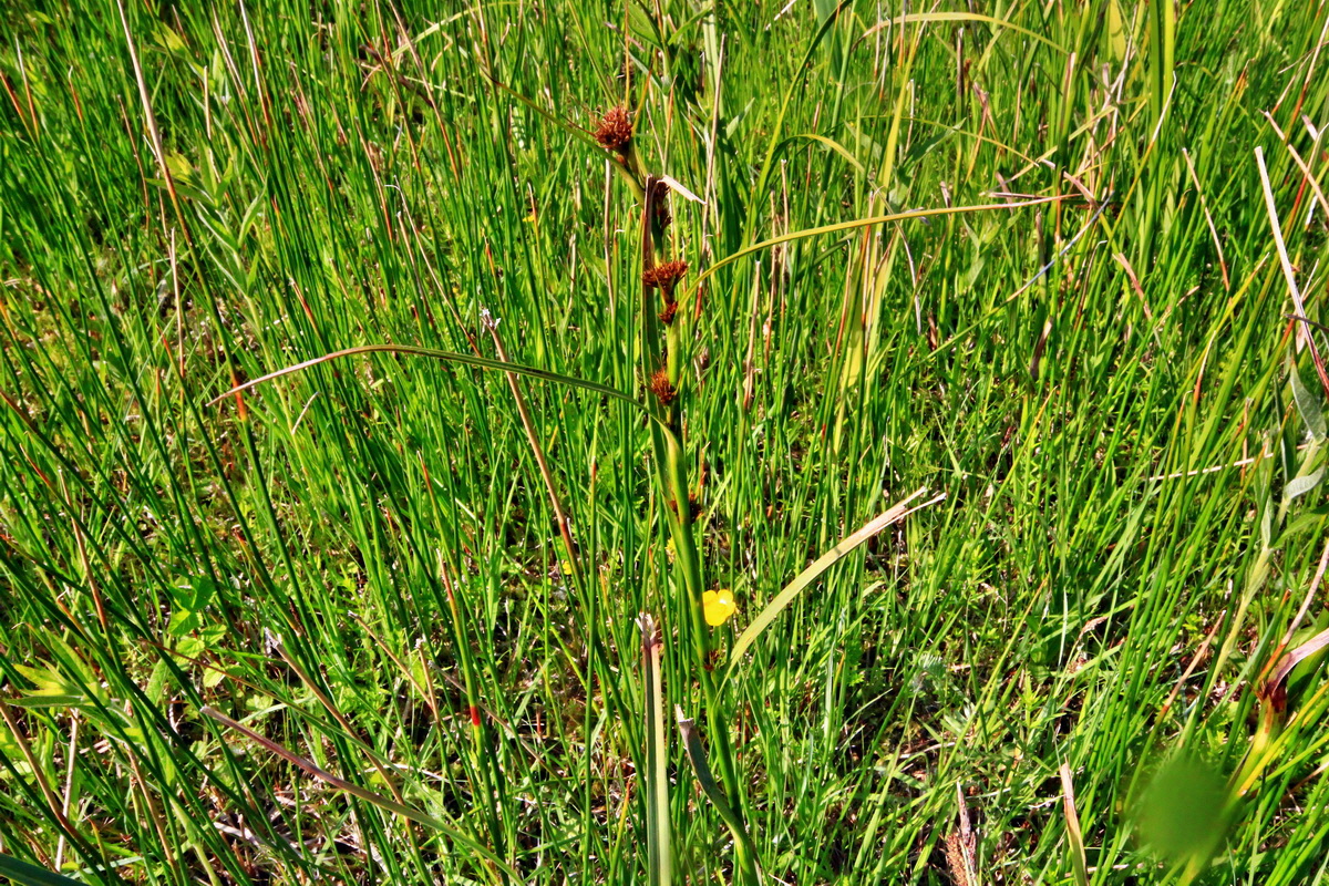 2013_06_07_00019669_Bildgr��e �ndern