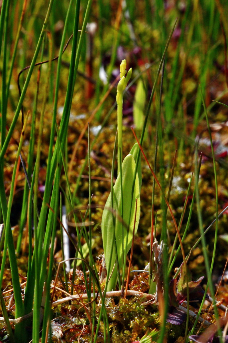 2013_06_07_00019696_Bildgr��e �ndern