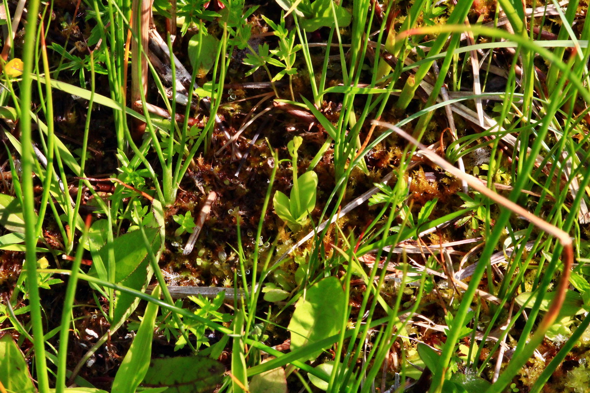 2013_06_07_00019709_Bildgr��e �ndern