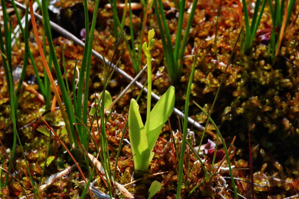 2013_06_07_00019713_Bildgr��e �ndern