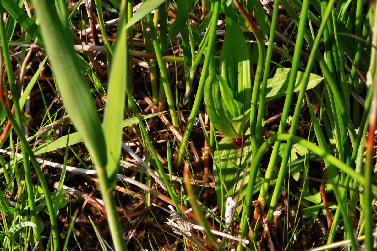 2013_06_07_00019719_Bildgr��e �ndern