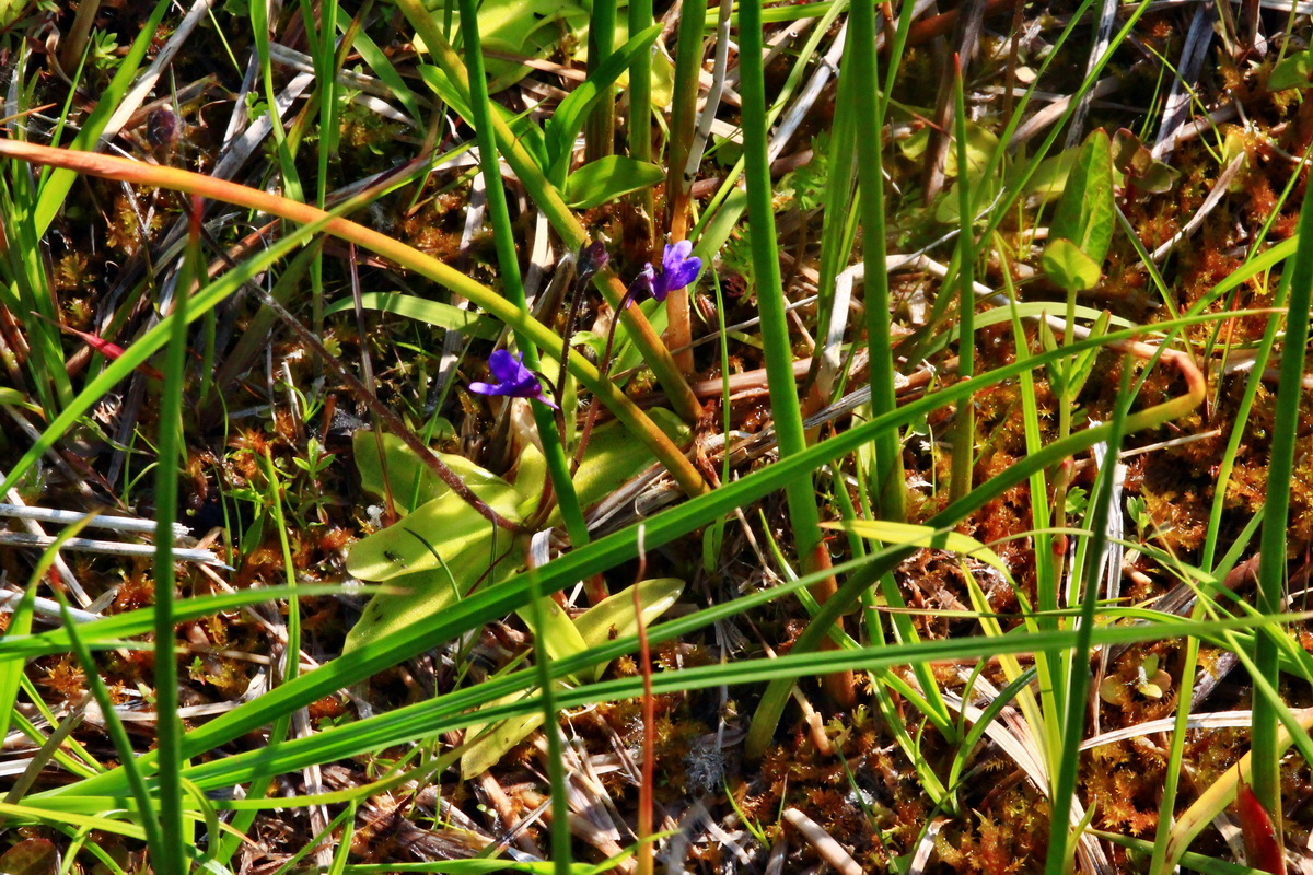 2013_06_07_00019727_Bildgr��e �ndern