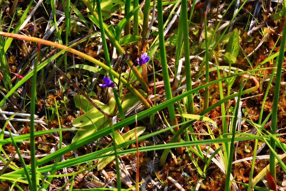 2013_06_07_00019728_Bildgr��e �ndern