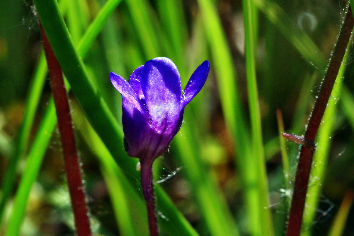 2013_06_07_00019736_Bildgr��e �ndern