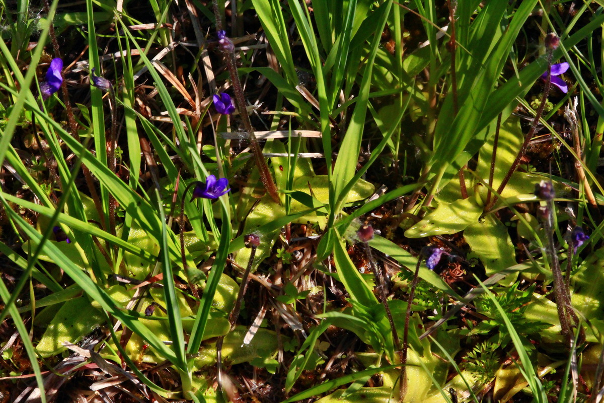 2013_06_07_00019739_Bildgr��e �ndern