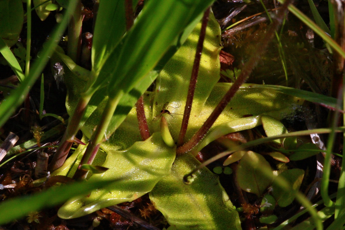 2013_06_07_00019748_Bildgr��e �ndern