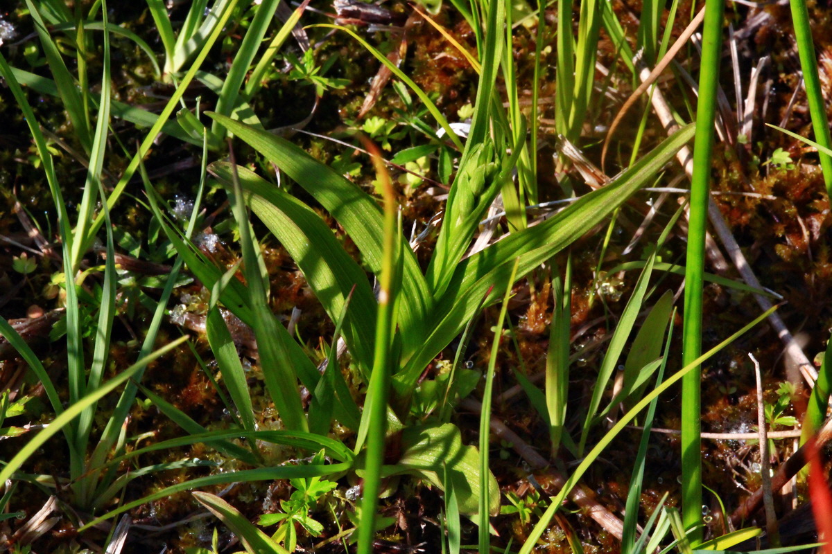 2013_06_07_00019752_Bildgr��e �ndern