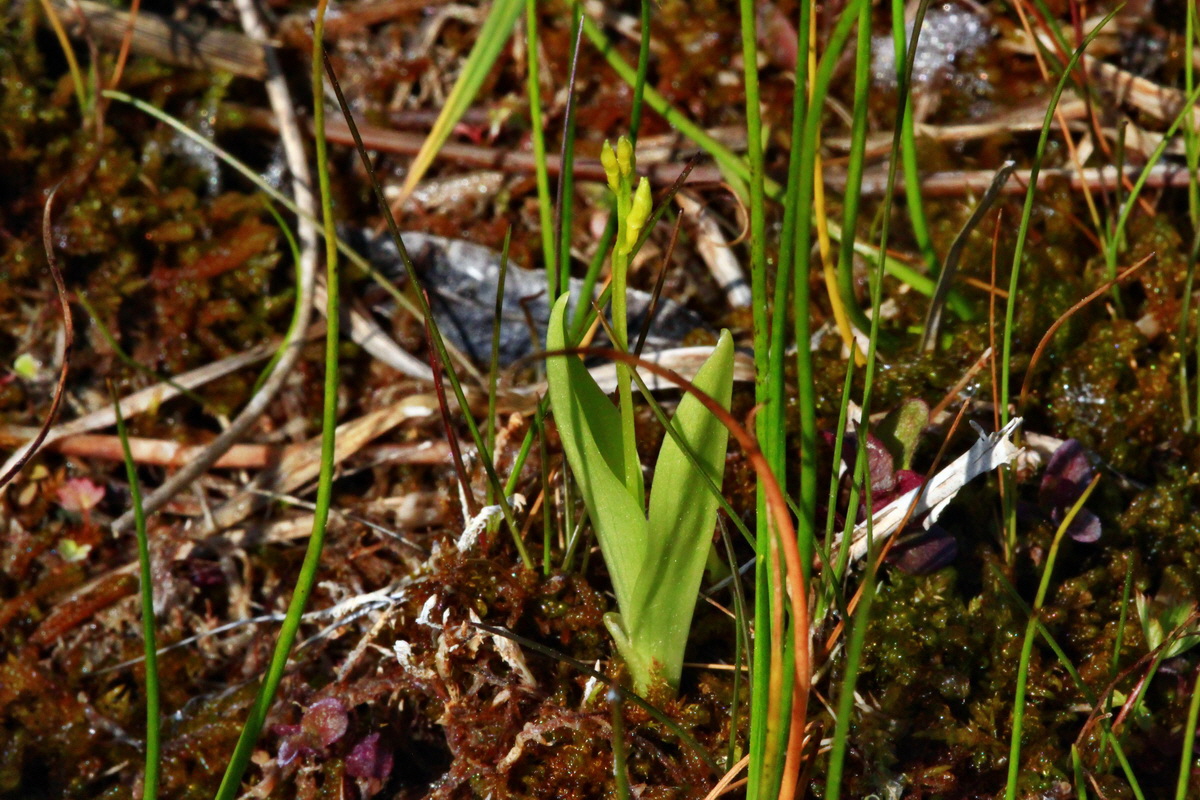 2013_06_07_00019760_Bildgr��e �ndern