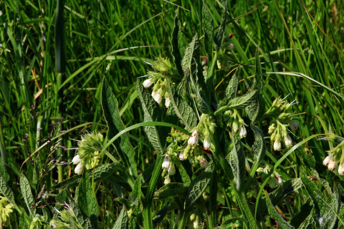 2013_06_07_00019838_Bildgr��e �ndern