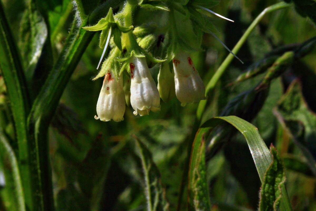 2013_06_07_00019840_Bildgr��e �ndern