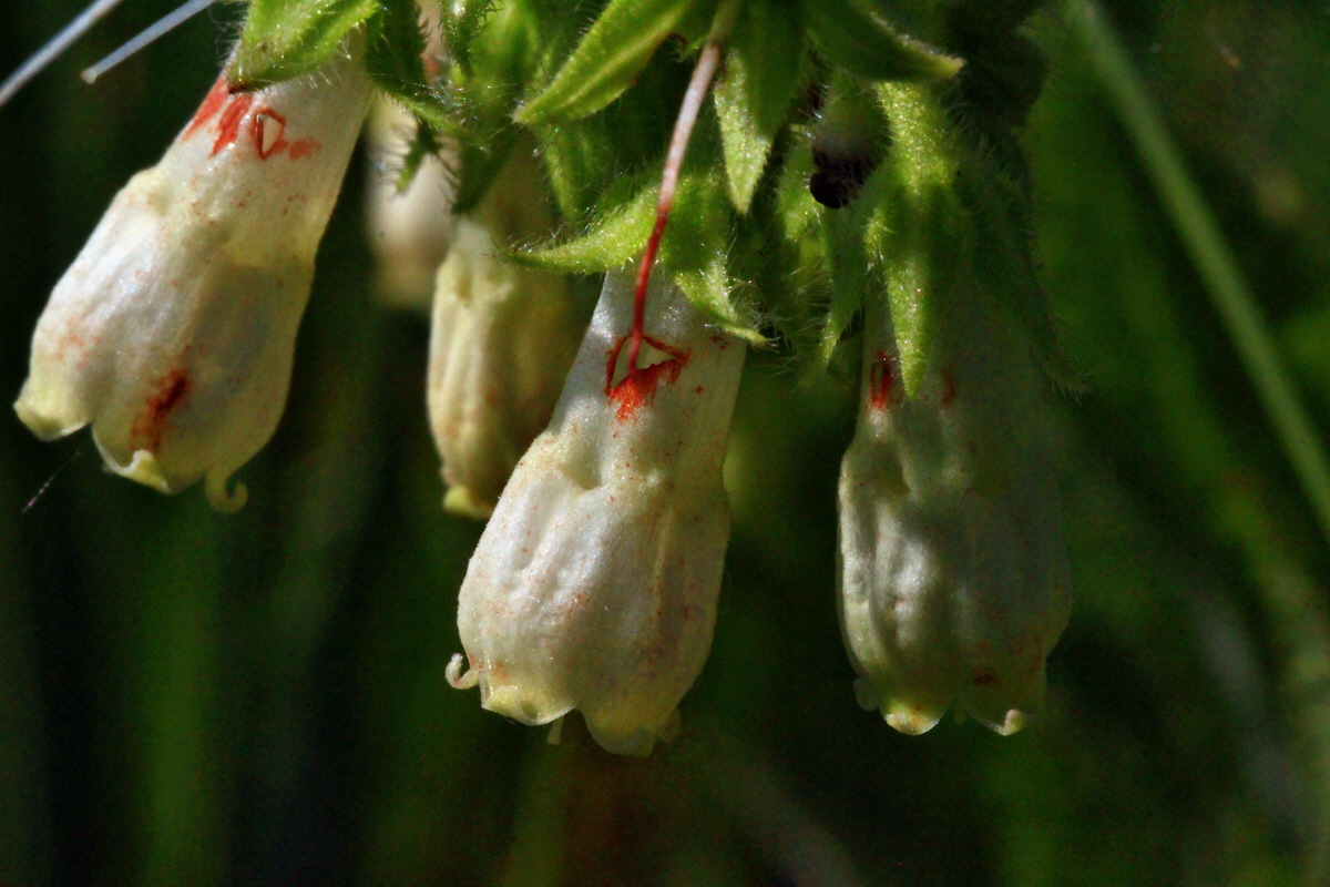 2013_06_07_00019849_Bildgr��e �ndern