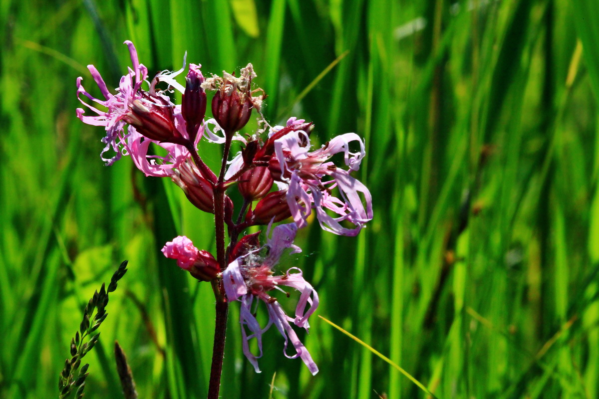 2013_06_07_00019853_Bildgr��e �ndern