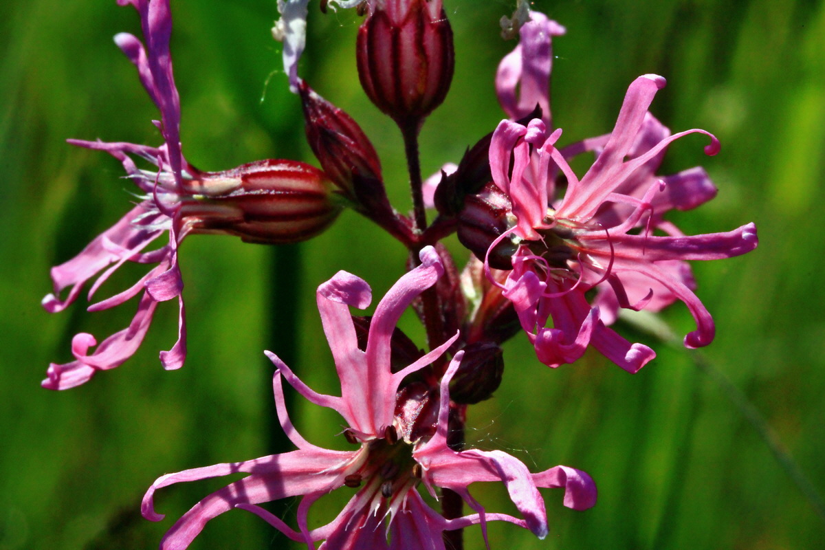 2013_06_07_00019856_Bildgr��e �ndern