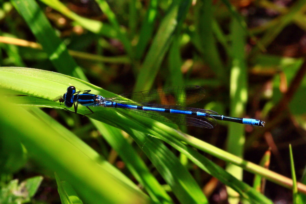 2013_06_07_00019885_Bildgr��e �ndern