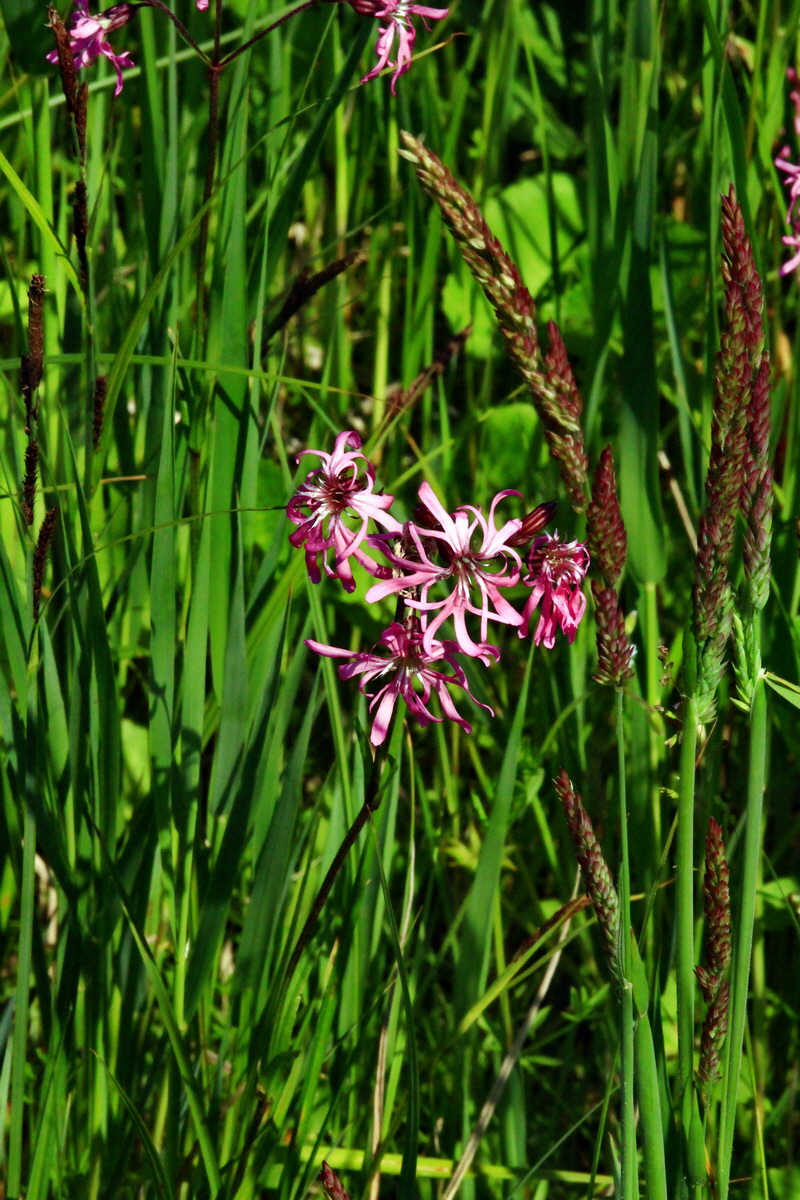 2013_06_07_00020006_Bildgr��e �ndern