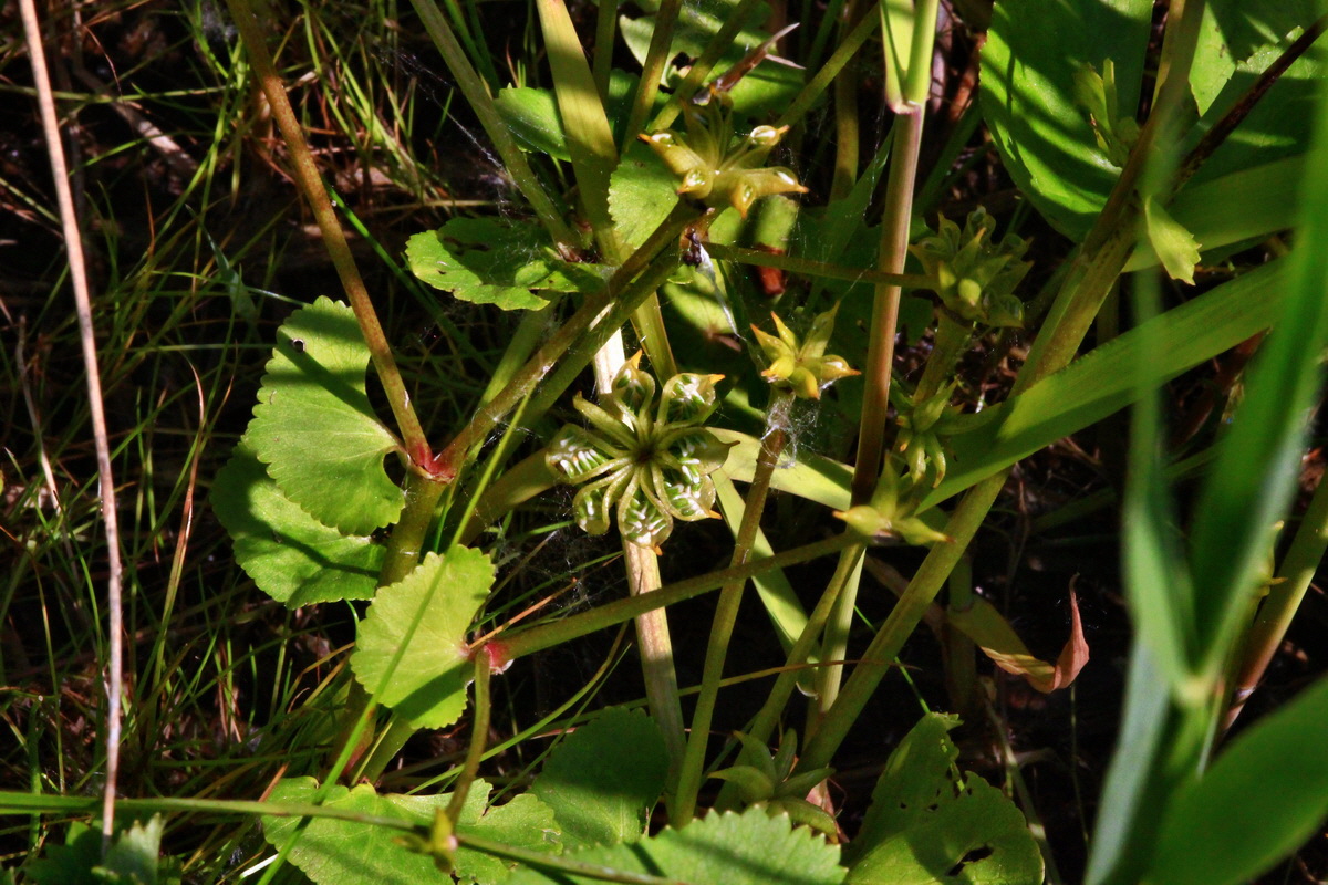 2013_06_07_00020038_Bildgr��e �ndern