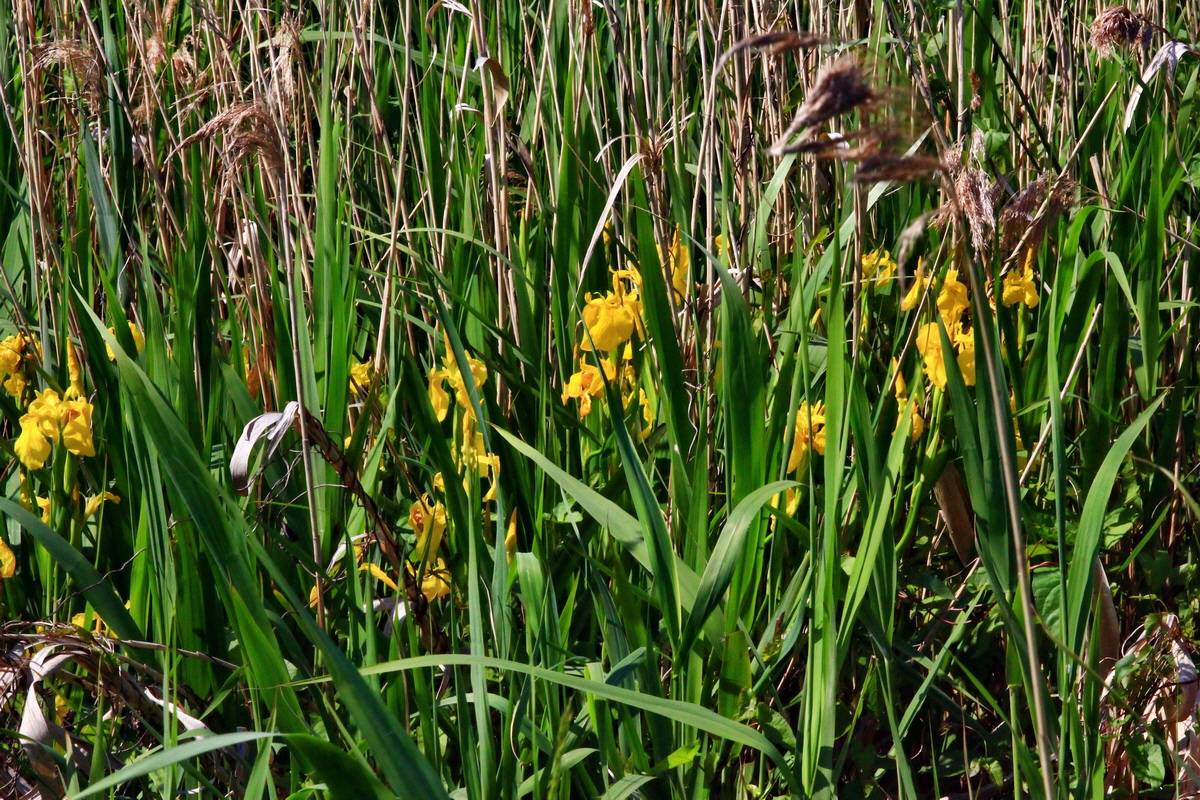 2013_06_07_00020041_Bildgr��e �ndern