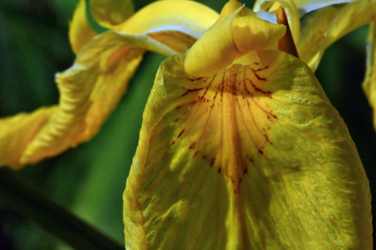 2013_06_07_00020060_Bildgr��e �ndern