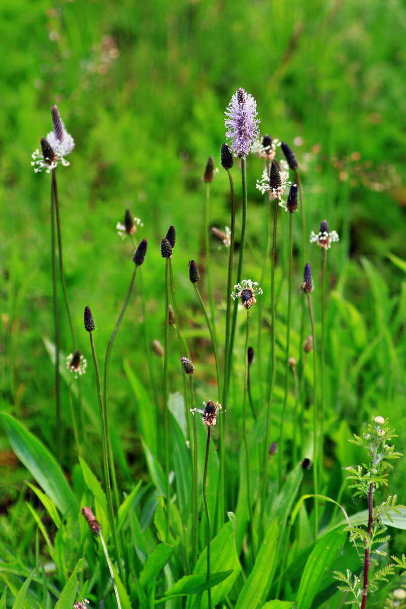 2013_06_07_00020083_Bildgr��e �ndern