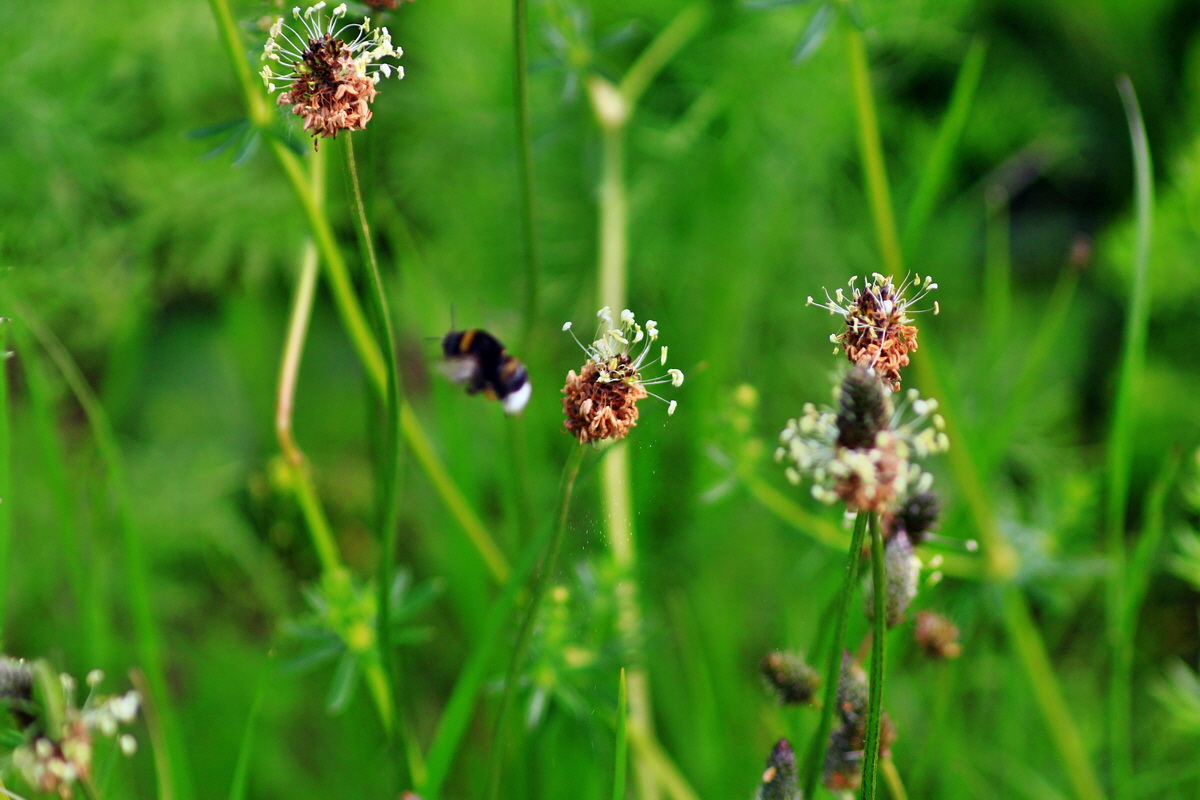 2013_06_07_00020092_Bildgr��e �ndern