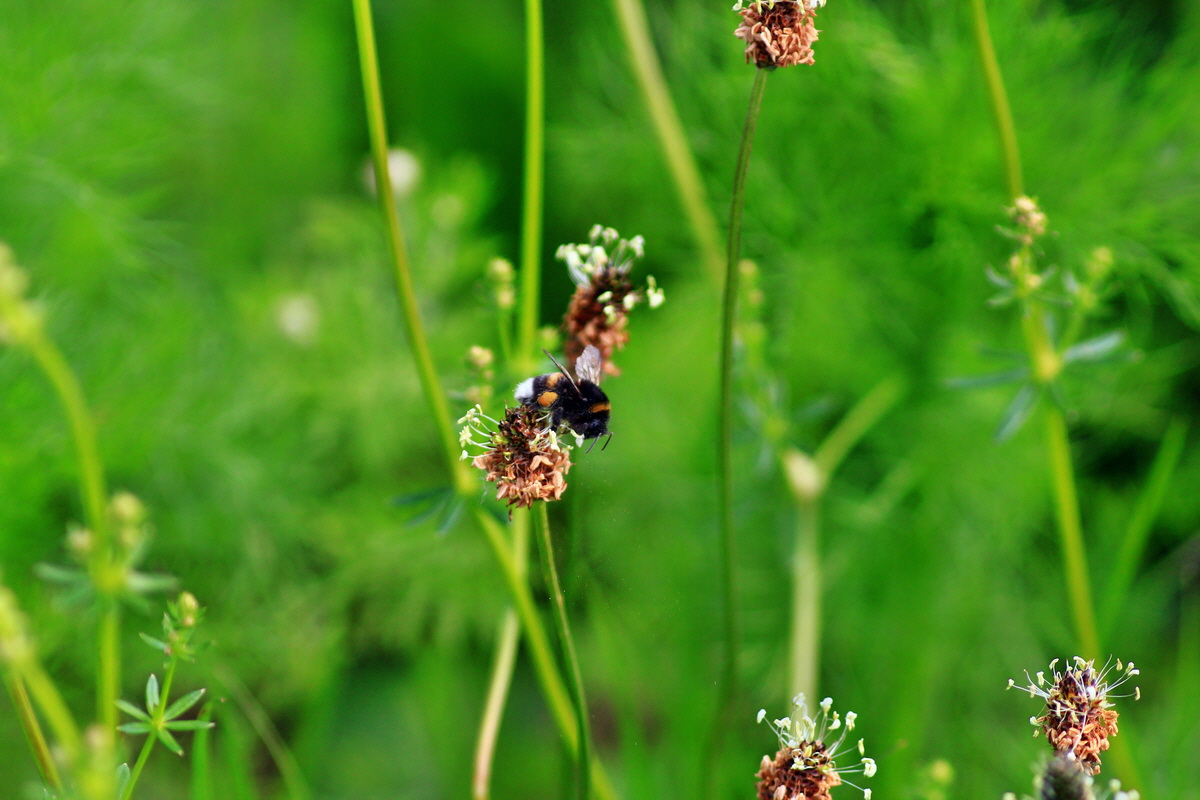 2013_06_07_00020094_Bildgr��e �ndern