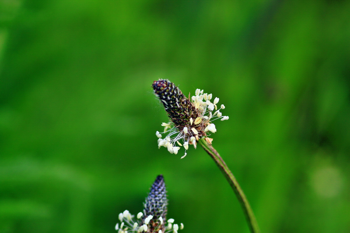 2013_06_07_00020097_Bildgr��e �ndern