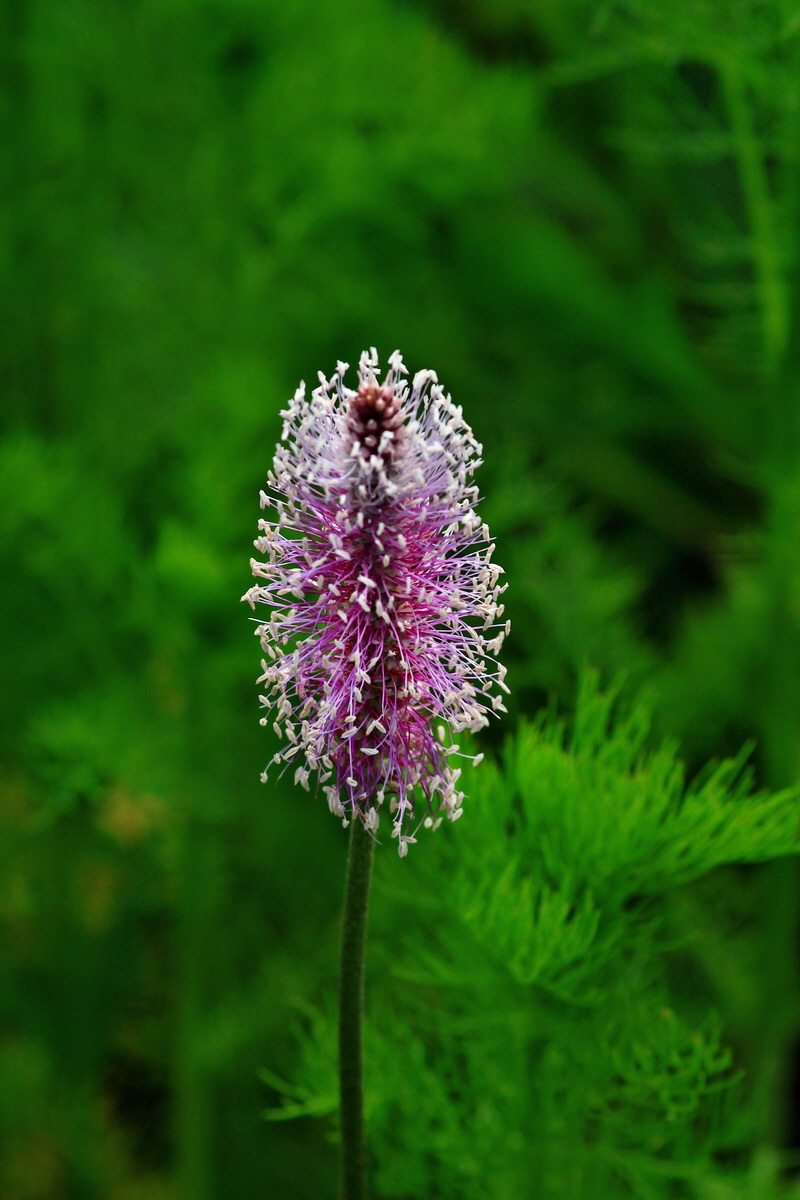 2013_06_07_00020107_Bildgr��e �ndern