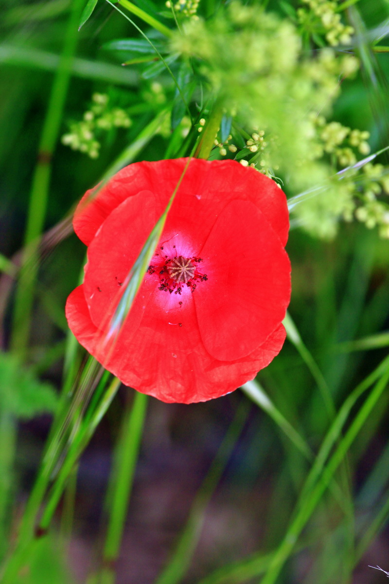 2013_06_07_00020118_Bildgr��e �ndern