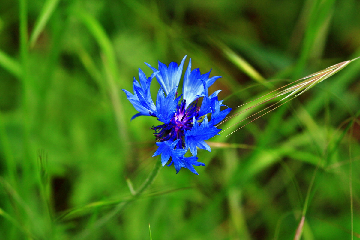 2013_06_07_00020130_Bildgr��e �ndern