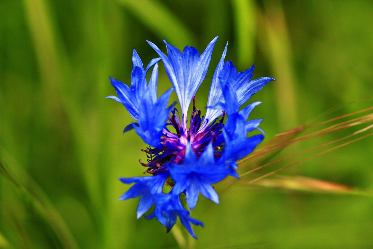 2013_06_07_00020132_Bildgr��e �ndern