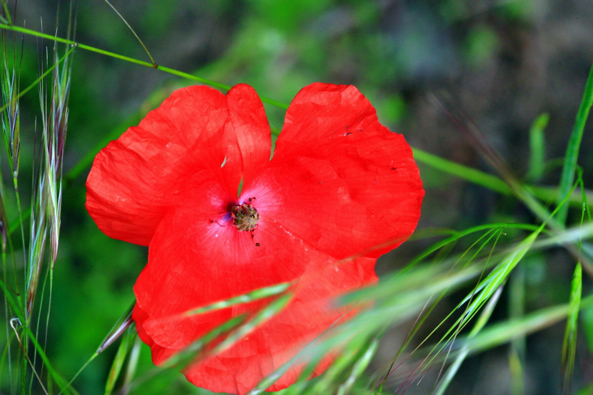 2013_06_07_00020139_Bildgr��e �ndern