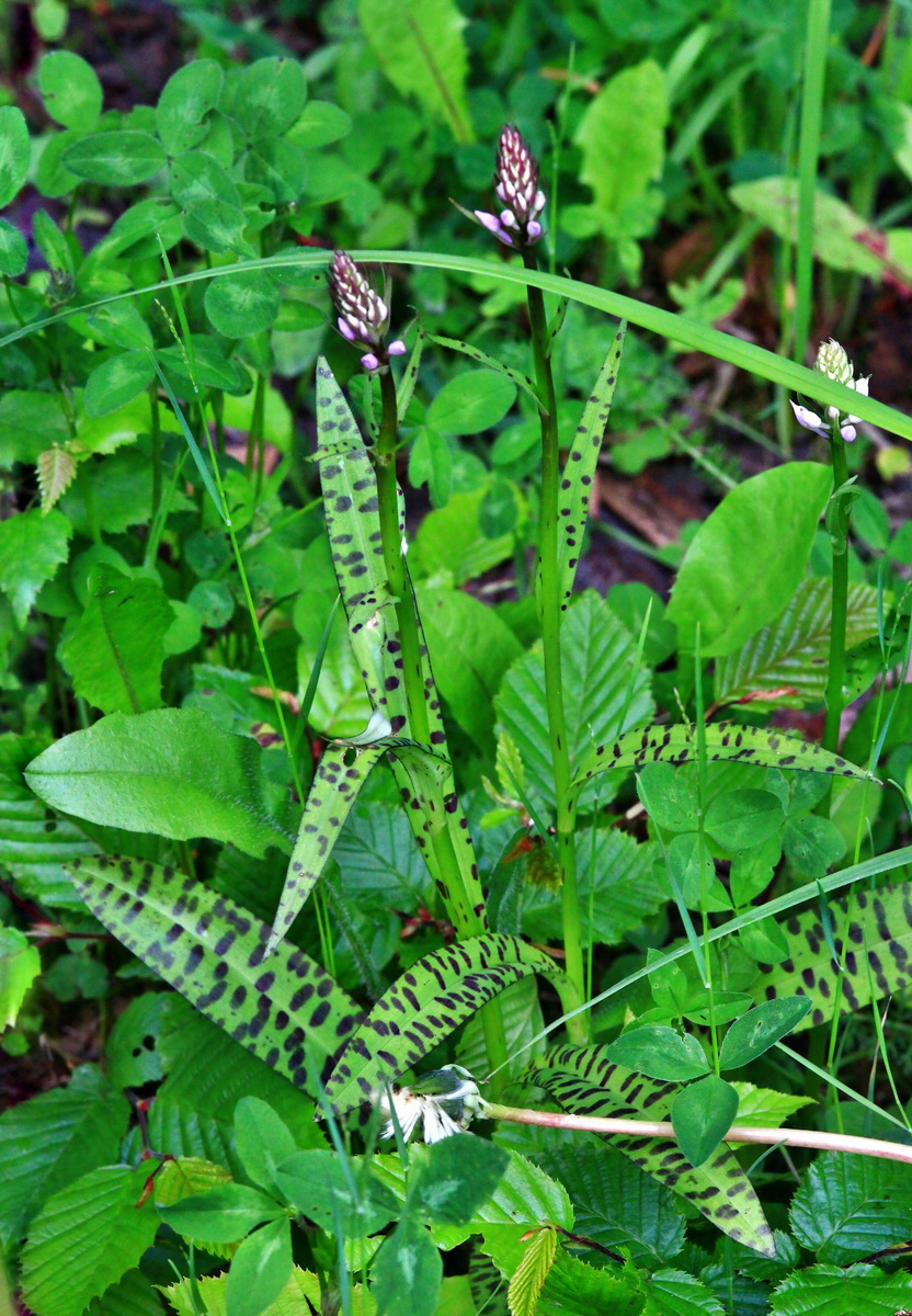 [Group 5]-2013_06_09_00020479_2013_06_09_00020482-4 images_Bildgr��e �ndern