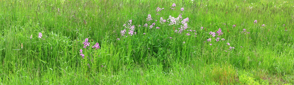 [Group 8]-2013_06_09_00020532_2013_06_09_00020545-14 images_Bildgr��e �ndern