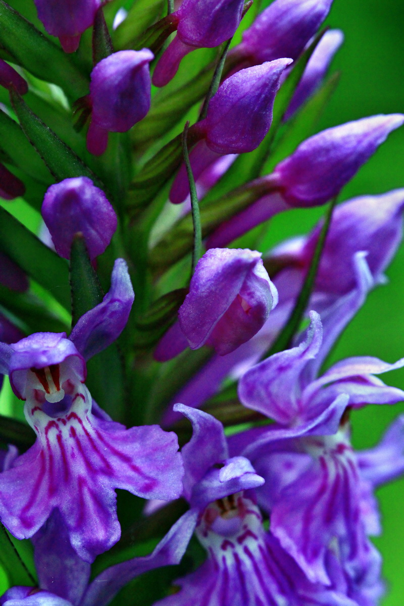 2013_06_09_00020317_Bildgr��e �ndern